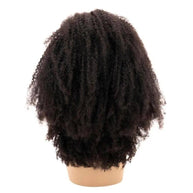 Afro Kinky Curly 4x4 Transparent Lace 100% Human Hair Closure Wig Private Label