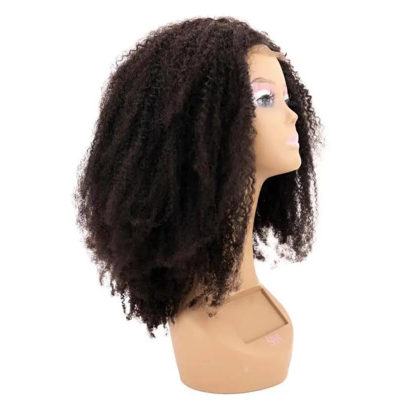 Afro Kinky Curly 4x4 Transparent Lace 100% Human Hair Closure Wig Private Label